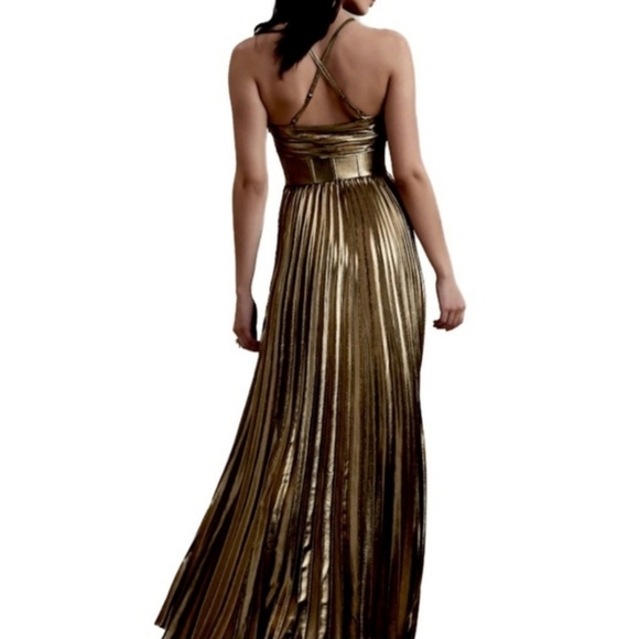 NWT Banana Republic Raggiera Pleated Gold Metallic Maxi Dress Corset Bodice - Picture 3 of 16